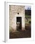 Two Sheep in a Field Barn Near Aysgarth, Yorkshire Dales, England, United Kingdom, Europe-Mark Sunderland-Framed Photographic Print