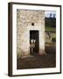 Two Sheep in a Field Barn Near Aysgarth, Yorkshire Dales, England, United Kingdom, Europe-Mark Sunderland-Framed Photographic Print