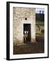 Two Sheep in a Field Barn Near Aysgarth, Yorkshire Dales, England, United Kingdom, Europe-Mark Sunderland-Framed Photographic Print