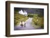 Two Sheep Walking on Street in Scotland-OtmarW-Framed Photographic Print