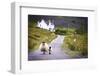 Two Sheep Walking on Street in Scotland-OtmarW-Framed Photographic Print