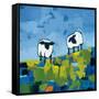 Two Sheep-Phyllis Adams-Framed Stretched Canvas