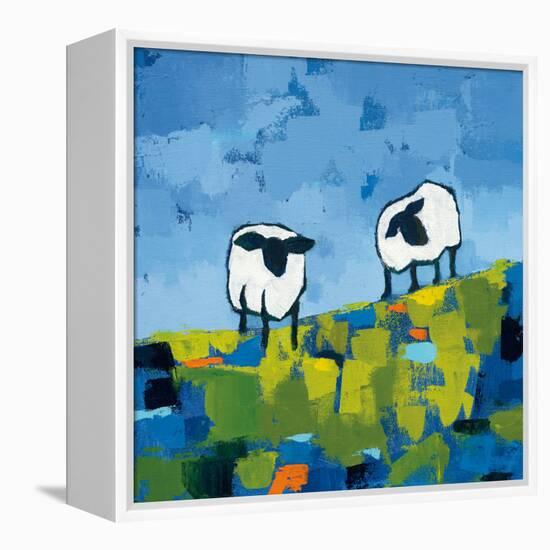 Two Sheep-Phyllis Adams-Framed Stretched Canvas