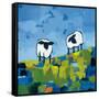 Two Sheep-Phyllis Adams-Framed Stretched Canvas