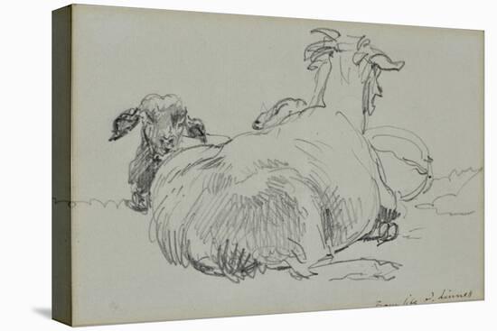 Two Sheep-John Linnell-Stretched Canvas