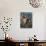 Two Shetland Sheepdogs Panting-Adriano Bacchella-Photographic Print displayed on a wall