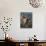 Two Shetland Sheepdogs Panting-Adriano Bacchella-Mounted Photographic Print displayed on a wall