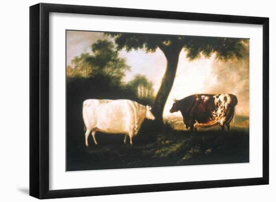 Two Shorthorn Cattle, 1806-Thomas Harrington Wilson-Framed Giclee Print