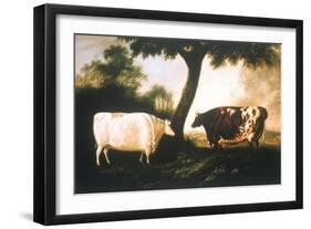 Two Shorthorn Cattle, 1806-Thomas Harrington Wilson-Framed Giclee Print