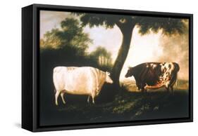 Two Shorthorn Cattle, 1806-Thomas Harrington Wilson-Framed Stretched Canvas