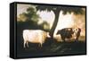 Two Shorthorn Cattle, 1806-Thomas Harrington Wilson-Framed Stretched Canvas