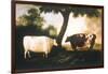 Two Shorthorn Cattle, 1806-Thomas Harrington Wilson-Framed Premium Giclee Print