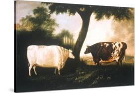 Two Shorthorn Cattle, 1806-Thomas Harrington Wilson-Stretched Canvas