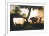 Two Shorthorn Cattle, 1806-Thomas Harrington Wilson-Framed Giclee Print