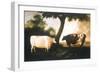 Two Shorthorn Cattle, 1806-Thomas Harrington Wilson-Framed Premium Giclee Print