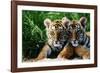 Two Siberian Tiger Cubs-W^ Perry Conway-Framed Photographic Print