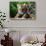 Two Siberian Tiger Cubs-W^ Perry Conway-Stretched Canvas displayed on a wall