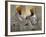 Two Sikhs Priests with Orange Turbans, Golden Temple, Punjab State-Eitan Simanor-Framed Photographic Print