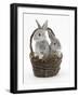 Two Silver Baby Rabbits in a Wicker Basket-Mark Taylor-Framed Photographic Print
