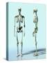 Two Skeletons-Matthias Kulka-Stretched Canvas