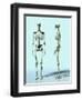 Two Skeletons-Matthias Kulka-Framed Premium Giclee Print