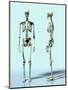 Two Skeletons-Matthias Kulka-Mounted Premium Giclee Print