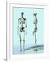 Two Skeletons-Matthias Kulka-Framed Giclee Print