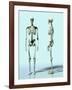 Two Skeletons-Matthias Kulka-Framed Giclee Print