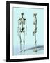 Two Skeletons-Matthias Kulka-Framed Giclee Print