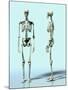 Two Skeletons-Matthias Kulka-Mounted Giclee Print