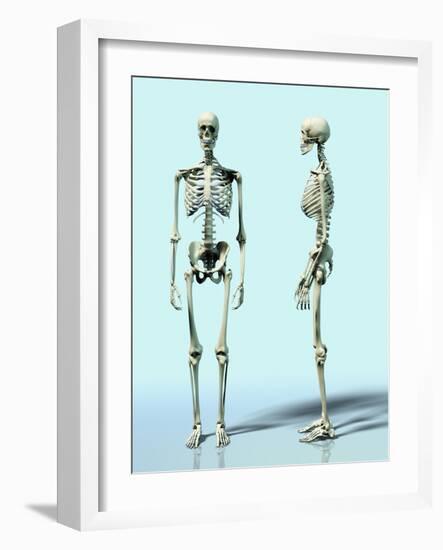 Two Skeletons-Matthias Kulka-Framed Giclee Print