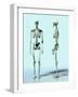 Two Skeletons-Matthias Kulka-Framed Giclee Print