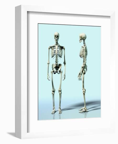 Two Skeletons-Matthias Kulka-Framed Giclee Print
