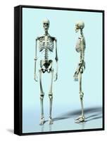 Two Skeletons-Matthias Kulka-Framed Stretched Canvas