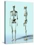 Two Skeletons-Matthias Kulka-Stretched Canvas