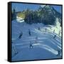 Two Ski-Slopes, 2004-Andrew Macara-Framed Stretched Canvas