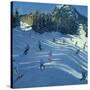 Two Ski-Slopes, 2004-Andrew Macara-Stretched Canvas