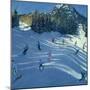 Two Ski-Slopes, 2004-Andrew Macara-Mounted Premium Giclee Print