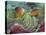 Two Skunk Anemone Fish and Indian Bulb Anemone-null-Stretched Canvas