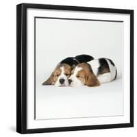 Two Sleeping Puppies-null-Framed Photographic Print