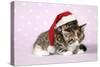 Two Sleepy Kittens, One Wearing a Christmas Hat-null-Stretched Canvas