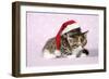 Two Sleepy Kittens, One Wearing a Christmas Hat-null-Framed Photographic Print