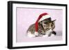 Two Sleepy Kittens, One Wearing a Christmas Hat-null-Framed Photographic Print