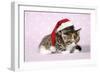 Two Sleepy Kittens, One Wearing a Christmas Hat-null-Framed Photographic Print