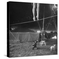 Two Small Children Watching Circus Performer Practicing on Tightrope, Her Legs Only Visible-Nina Leen-Stretched Canvas