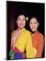 Two Smiling Vietnamese Women in Traditional Dress, North Vietnam, Vietnam-Gavin Hellier-Mounted Photographic Print