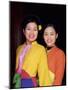 Two Smiling Vietnamese Women in Traditional Dress, North Vietnam, Vietnam-Gavin Hellier-Mounted Photographic Print