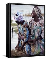 Two Smiling Zanzibari Women Working in Seaweed Cultivation, Zanzibar, Tanzania, East Africa, Africa-Yadid Levy-Framed Stretched Canvas