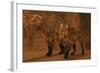 Two Smilodon Cats Find Protection in a Vast Cave System-null-Framed Art Print