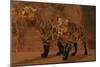 Two Smilodon Cats Find Protection in a Vast Cave System-null-Mounted Art Print
